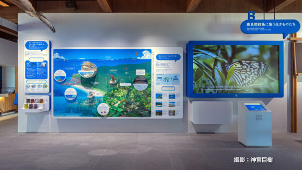 慶良間諸島国立公園ビジターセンター「青のゆくる館」